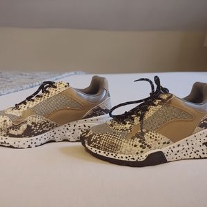 Steve Madden Cliff Animal Print Sneakers
